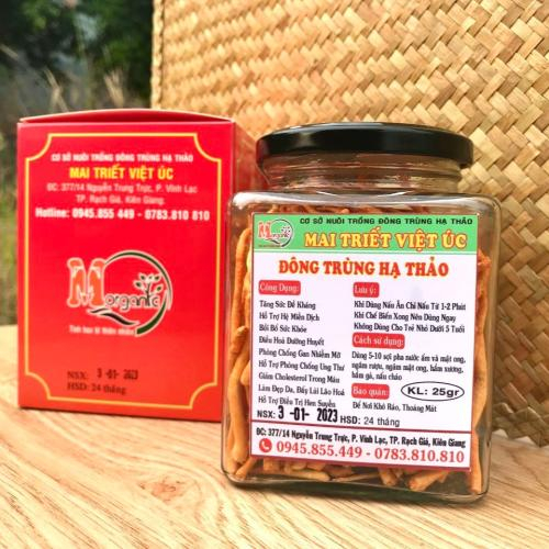 Ai Nên Dùng Đông Trùng Hạ Thảo?