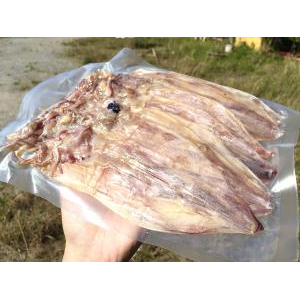 Khô Mực 500gram