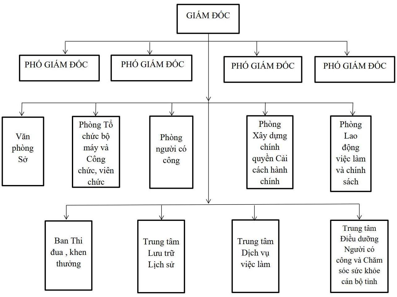 Cơ cấu tổ chức