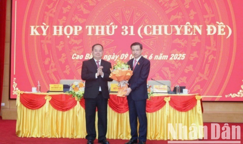 Sơ lược chức năng, nhiệm vụ