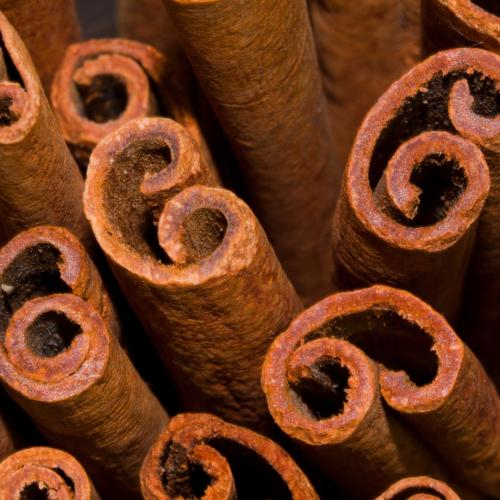Nhục Quế – Bí Quyết Thảo Dược Trong Dầu Xoa Bóp Giảm Đau Hiệu Quả