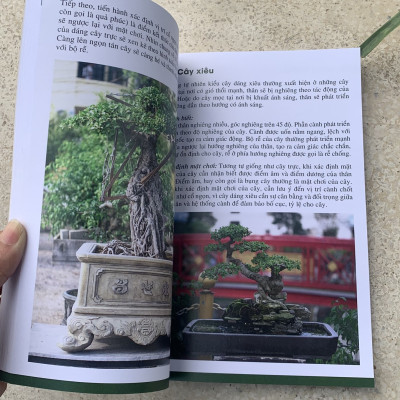 LÀM CHỦ TƯ DUY ĐỊNH HÌNH TÁC PHẨM BONSAI ( Nghệ nhân Nam Lê)