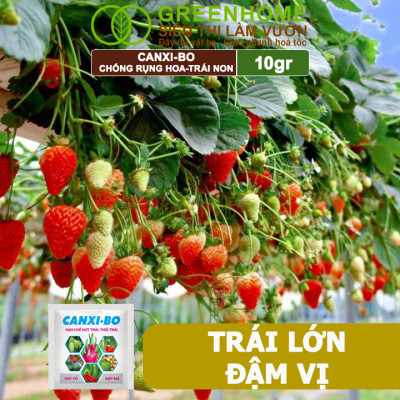 Phân Bón Canxi Bo Greenhome, Viên 10Gr, Tăng Đậu Trái, Chống Rụng Hoa Và Trái Non, Chống Thối Trái