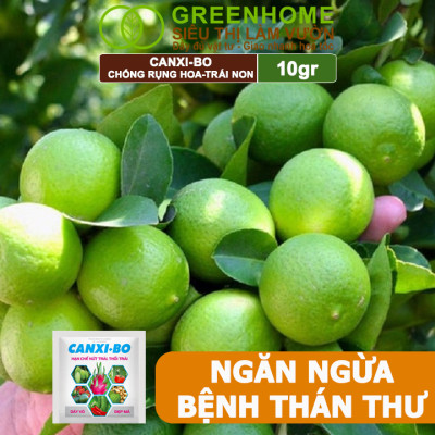 Phân Bón Canxi Bo Greenhome, Viên 10Gr, Tăng Đậu Trái, Chống Rụng Hoa Và Trái Non, Chống Thối Trái