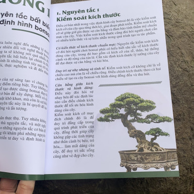 LÀM CHỦ TƯ DUY ĐỊNH HÌNH TÁC PHẨM BONSAI ( Nghệ nhân Nam Lê)