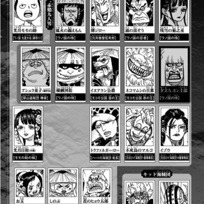 One Piece 101