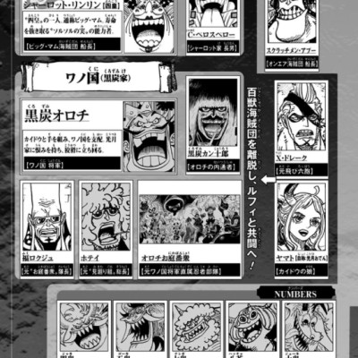 One Piece 101