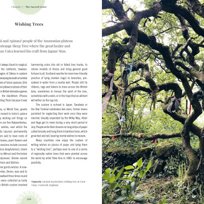Kew - Witch