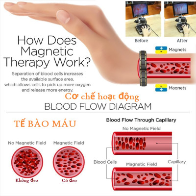 Combo Vòng đeo tay sức khỏe từ tính, gắn hạt Germanium, Hỗ trợ: ổn định huyết áp, Chống ngáy, Giảm cân..., Cỡ vòng 21cm, Kèm hộp đựng lót Nhung Nỉ