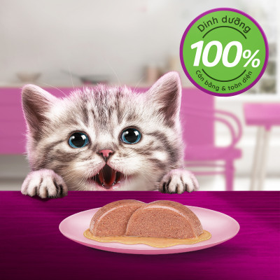 [Combo 12 Gói] Thức Ăn Cho Mèo Con WHISKAS Junior 2-12 months Vị Cá Ngừ 80g/Gói