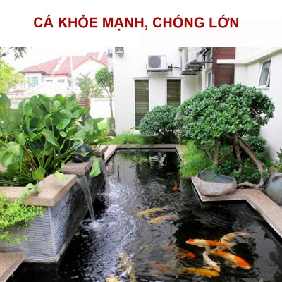 3 Gói Thức Ăn Cá Cảnh, cám Cá Koi hạt nhỡ 3mm (Cho cá size 8cm trở lên) - Nhanh lên size, lên màu, tăng cường sức đề kháng 500Gr