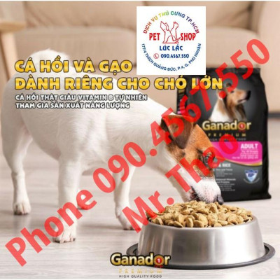 Webcam máy tính có micro full hd 1080p full box siêu nét dùng cho pc laptop