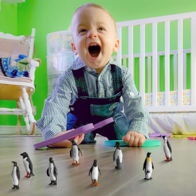 Set 8 đồ chơi mô hình chim cánh cụt mini trang trí tiểu cảnh