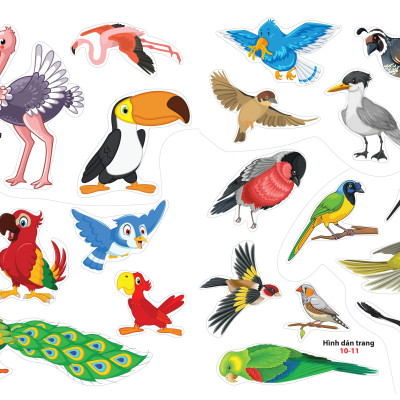 Sách - Sticker dán hình thông minh - Thế Giới Loài Chim
