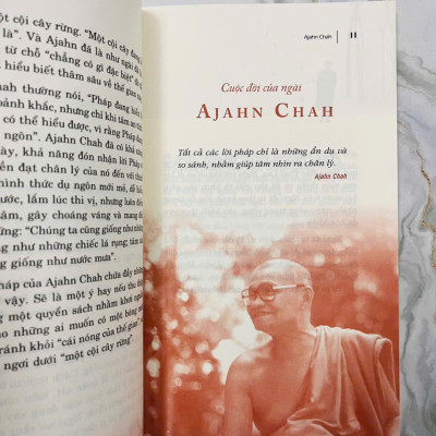 Sách - Một Cội Cây Rừng - (VLA)