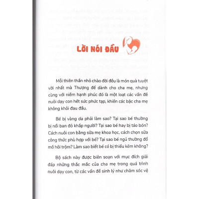 Chăm Con Từ Lúc Lọt Lòng (1001 Vấn Đề Nuôi Dạy Con)