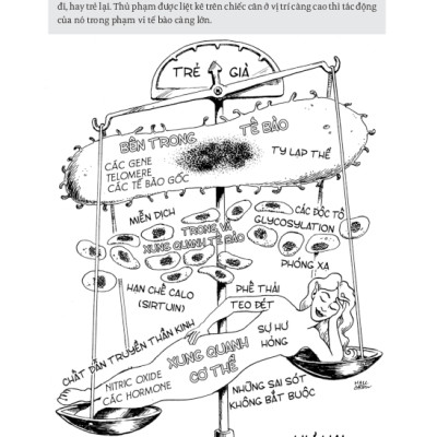 Khoa Học Khám Phá - Bạn Trẻ Mãi (Vì Sao Bạn Già Đi? Làm Thế Nào Để Bạn Trẻ Mãi?) - Michael F. Roizen, Mehmet C.Oz