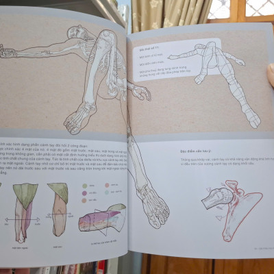 (In màu) 69 SẮC THÁI - Giải phẫu Học nghệ Thuật - Nguyễn Ngọc Linh - Comicola