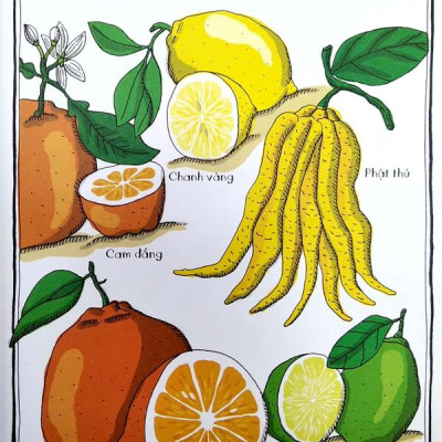 Sách - Bách khoa thư dành cho mọi lứa tuổi - Vườn bách thảo bằng tranh (Bìa cứng) (Nhã Nam HCM)