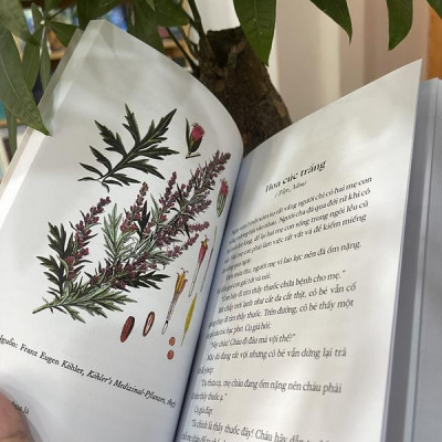 Sách - Cỏ cây hoa lá (Nhã Nam HCM)