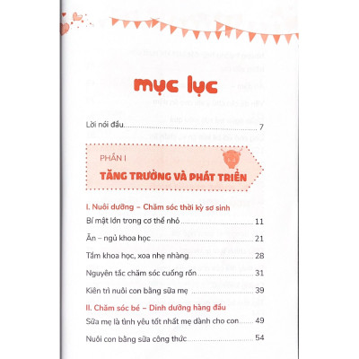 Chăm Con Từ Lúc Lọt Lòng (1001 Vấn Đề Nuôi Dạy Con)