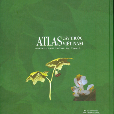 ATLAS CÂY THUỐC VIỆT NAM , TẬP 1 (Atlas Of Medicinal Plants In Vietnam, Volume 1) - Bìa cứng