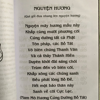 Phật Thuyết Đại Thừa Vô Lượng Thọ Trang Nghiêm Thanh Tịnh Bình Đẳng Giác Kinh