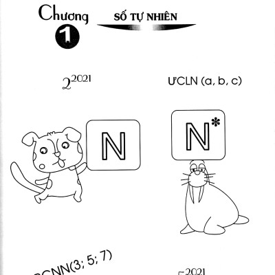 Toán Nâng Cao - Bồi Dưỡng Và Phát Triển Năng Lực Toán Lớp 6 - Tập 1