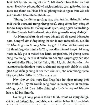 Sách - Việt Nam phong tục (Nhã Nam HCM)