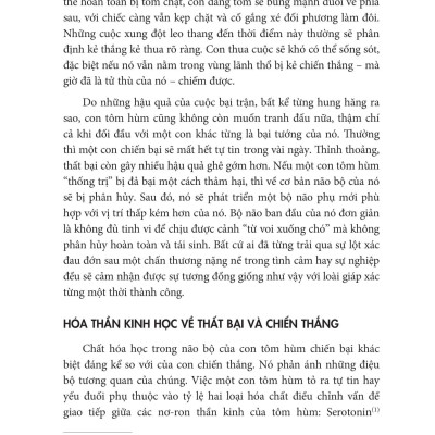 12 Quy Luật Cuộc Đời: Thần Dược Cho Cuộc Sống Hiện Đại