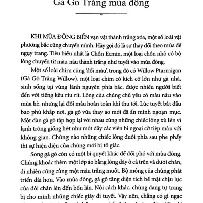 Chuyện Kể Về Trăm Loài Chim