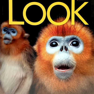 Look Starter: Workbook With Online Practice