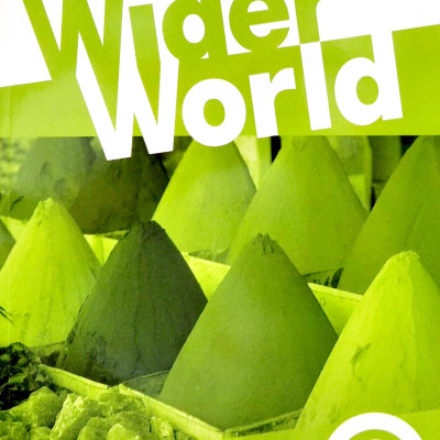Wider World 2 Workbook With Extra Online Homework Pack