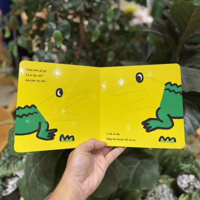 Bàn tay kỳ diệu - Vui đùa cùng đôi tay - Bé nhìn thấy gì nào?