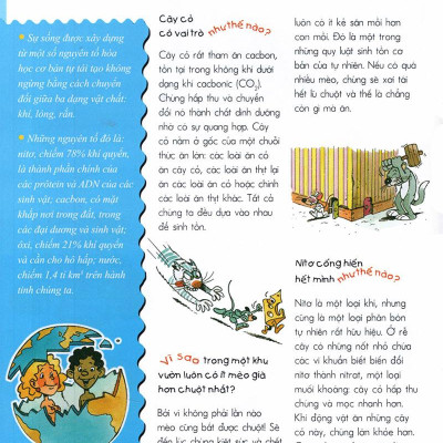 Vì Sao? Như Thế Nào? - Sinh Thái (Tái Bản)