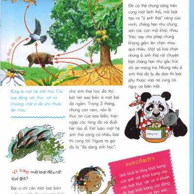 Vì Sao? Như Thế Nào? - Sinh Thái (Tái Bản)