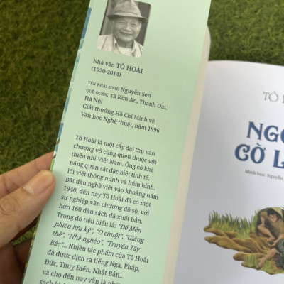 TÔ HOÀI – NGỌN CỜ LAU – minh họa Nguyễn Hồng Anh – minh họa in màu – ấn bản kỷ niệm 65 năm thành lập NXB Kim Đồng