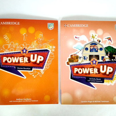 Power Up Level 2 Activity Book With Online Resources And Home Booklet