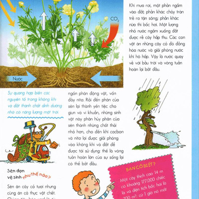 Vì Sao? Như Thế Nào? - Sinh Thái (Tái Bản)