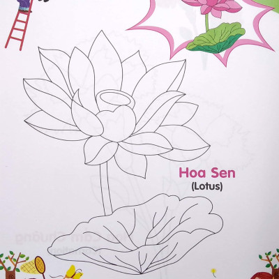 Bé Tập Tô Màu Và Học Tiếng Anh Theo Chủ Đề - Các Loài Hoa