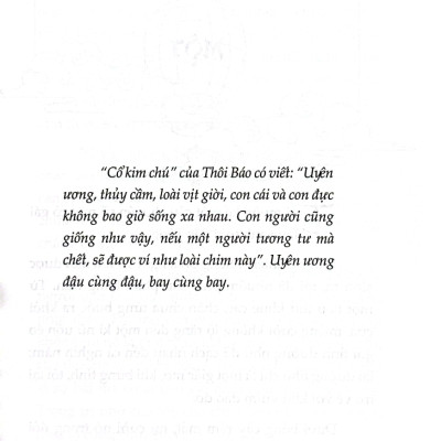Phấn Hoa Lầu Xanh - BV