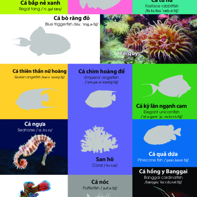 Dán Hình Nhận Biết Động Vật - Động Vật Biển (Song Ngữ Việt-Anh)