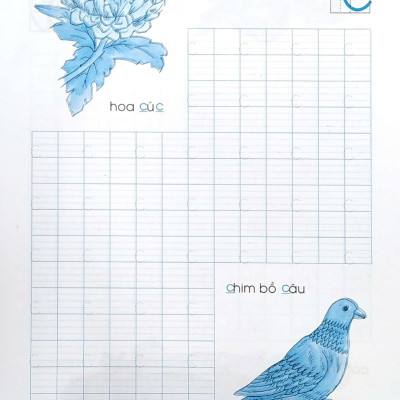 Tập Tô Chữ Mẫu Giáo 5 - 6 Tuổi