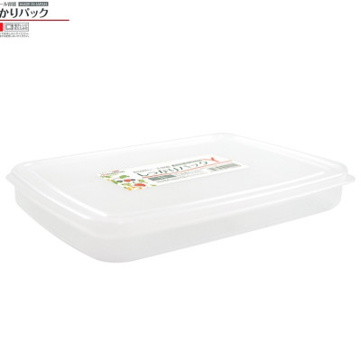 Combo 02 Hộp bảo quản thực phẩm 1000ml hình chữ nhật dẹt - Nội địa Nhật
