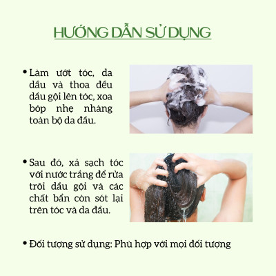 Dầu gội thảo dược sạch gàu, giảm xơ rối ECOCARE PREMIUM 300ml đạt chuẩn CGMP, dầu gội xả thiên nhiên 