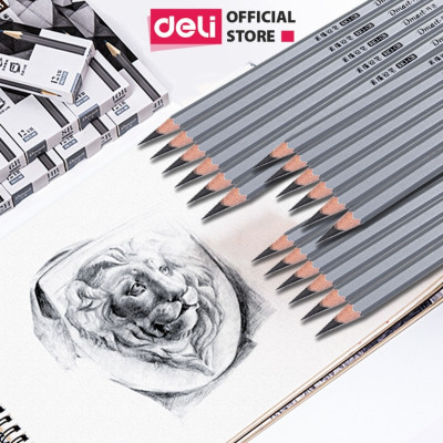 Bút Chì Phác Thảo Deli Phiên Bản Cao Cấp Dmast 2H, HB, 2B, 4B, 6B, 8B,10B,12B Vẽ Chuyên Nghiệp Chì Mềm Độ Đậm Chuẩn