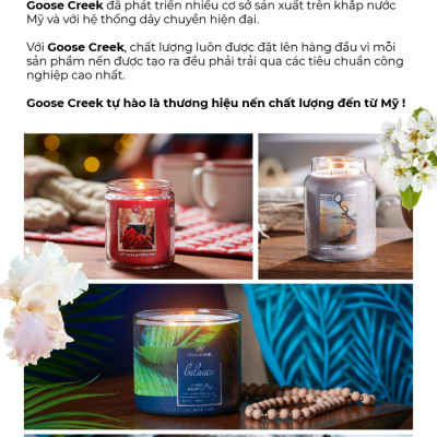 Nến ly 3 bấc sáp đậu nành For Men Goose Creek (411g) - California Coast