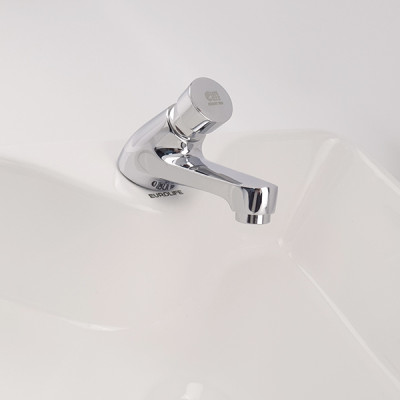 Vòi Lavabo lạnh nhấn hơi Eurolife EL-119 (Trắng bạc)