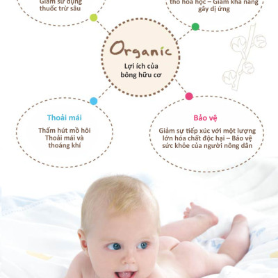 gối lõm chống méo đầu cho bé chất liệu hữu cơ organic KU.KU Duckbill ku2052 KU2053