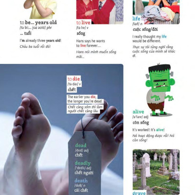 Học Tự Vựng Tiếng Anh Qua Hình Và Ví Dụ Minh Họa